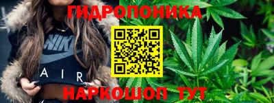 винт Аргун