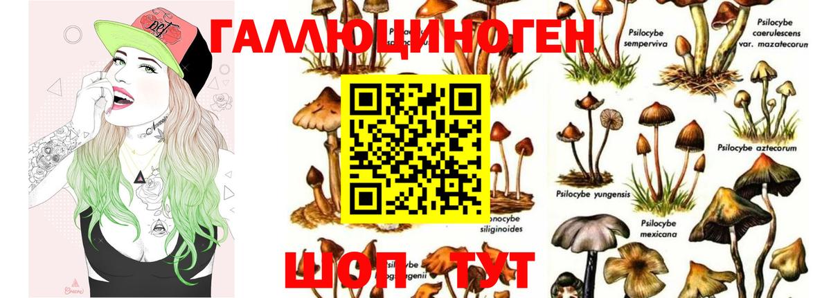 Псилоцибиновые грибы GOLDEN TEACHER Бор