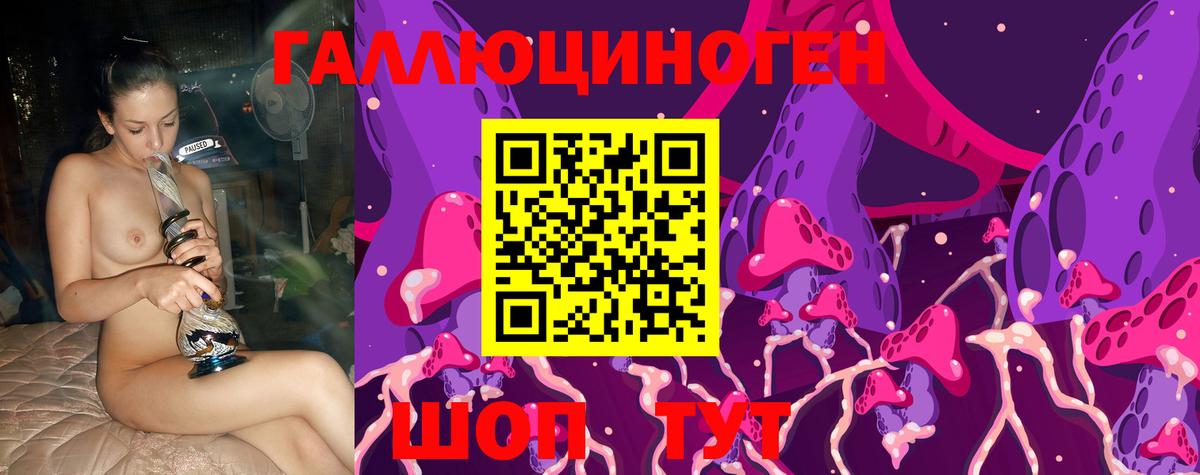 Псилоцибиновые грибы Psilocybe  Вход с VPN  Бор 